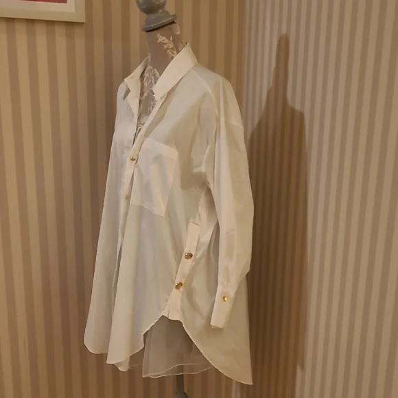 Zara Elegant Cream Button-Down Blouse - Picture 5 of 5